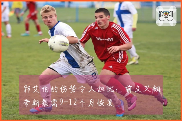 郭艾伦的伤势令人担忧，前交叉韧带断裂需9-12个月恢复