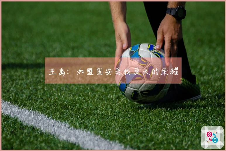 王禹：加盟国安是我莫大的荣耀