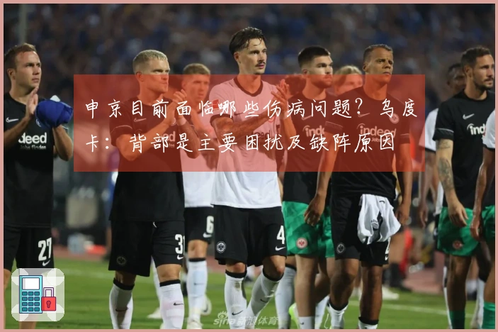 申京目前面临哪些伤病问题？乌度卡：背部是主要困扰及缺阵原因