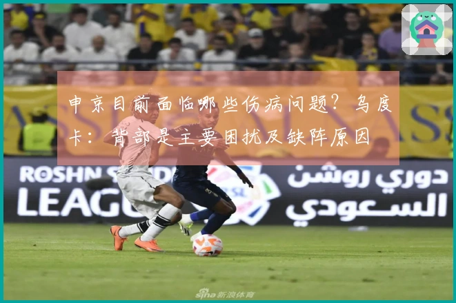 申京目前面临哪些伤病问题？乌度卡：背部是主要困扰及缺阵原因